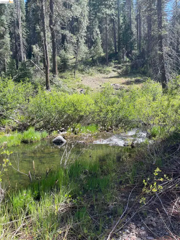 26777 Browns Meadow Rd, LONG BARN, CA 95335