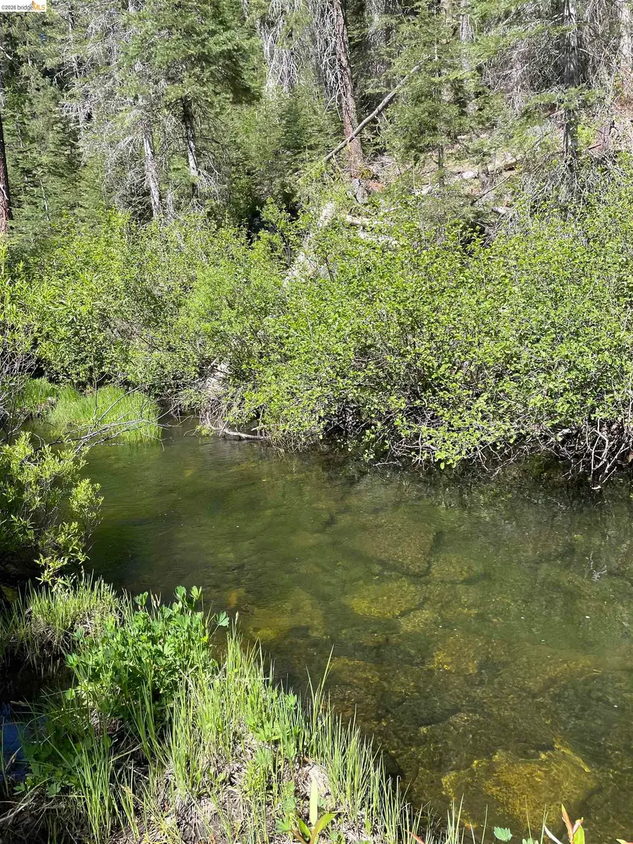 26777 Browns Meadow Rd, Long Barn, CA 95335 - #3
