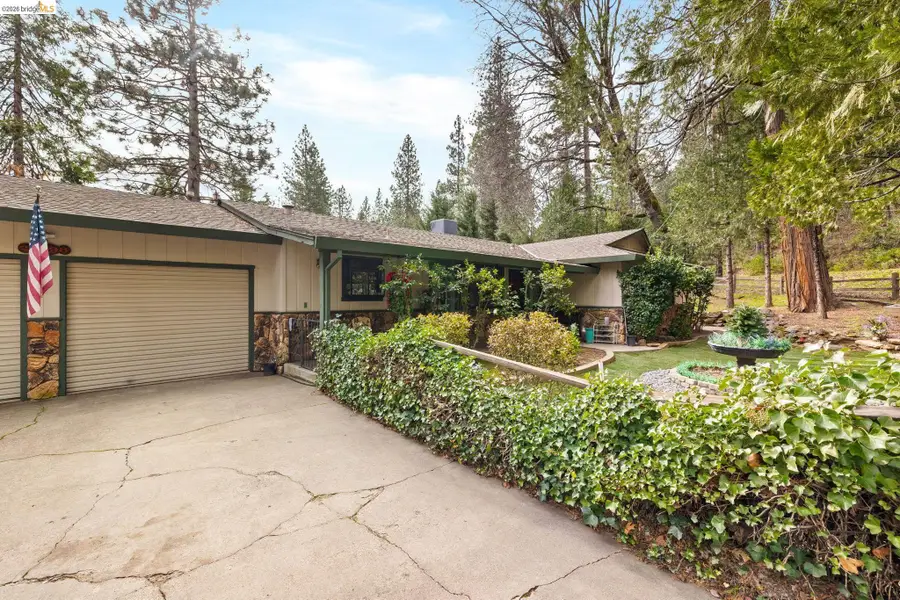 22698 Robin Hood Dr, Twain Harte, CA 95383 - #2