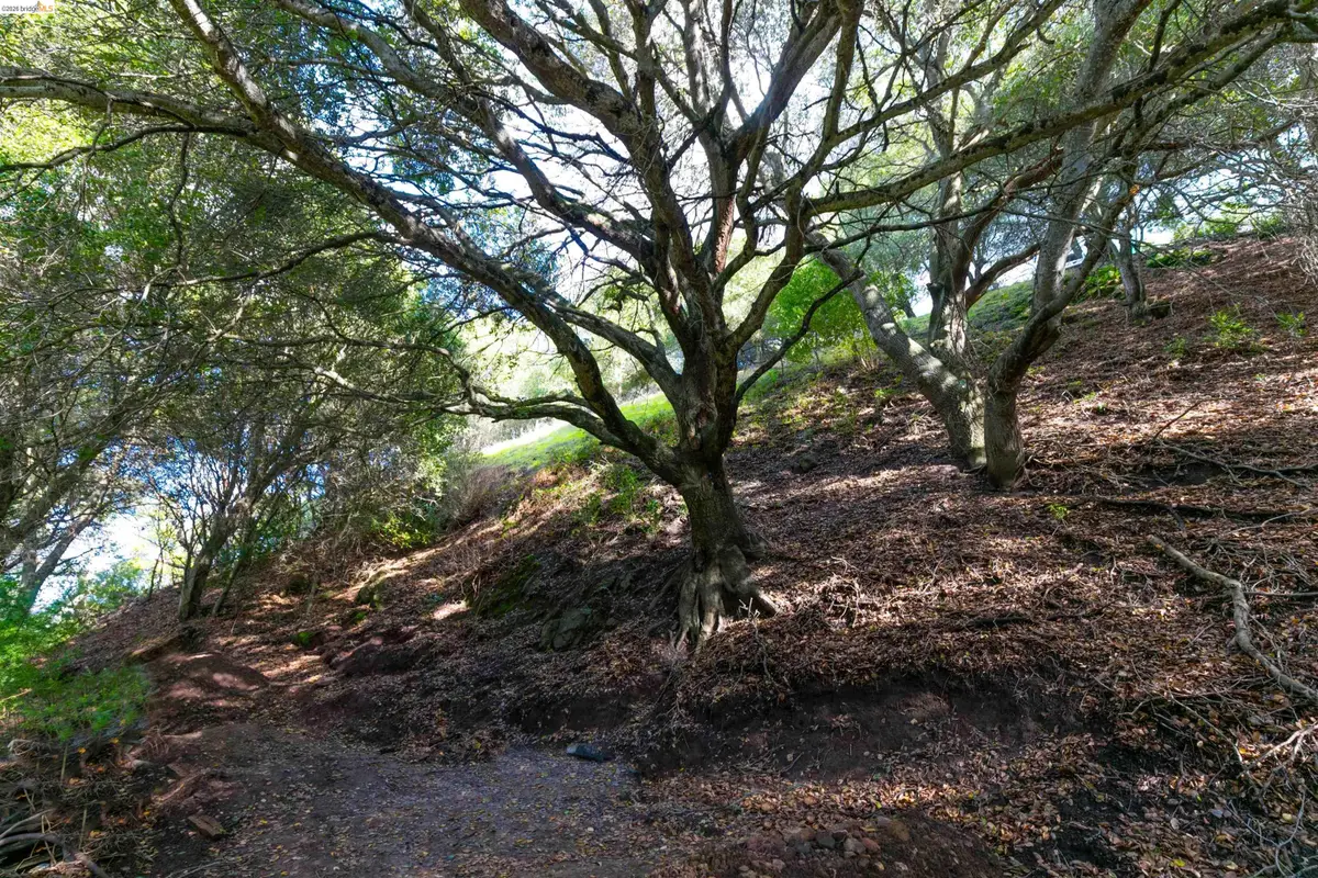 20 Lucille Way, Orinda, CA 94563 - #1