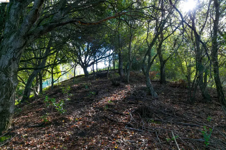 20 Lucille Way, Orinda, CA 94563 - #2