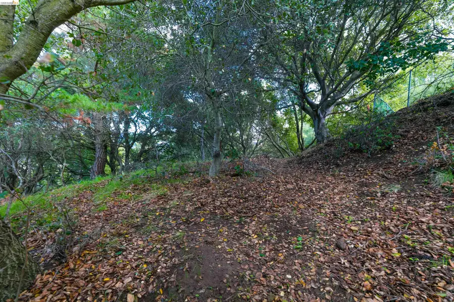 20 Lucille Way, Orinda, CA 94563 - #3