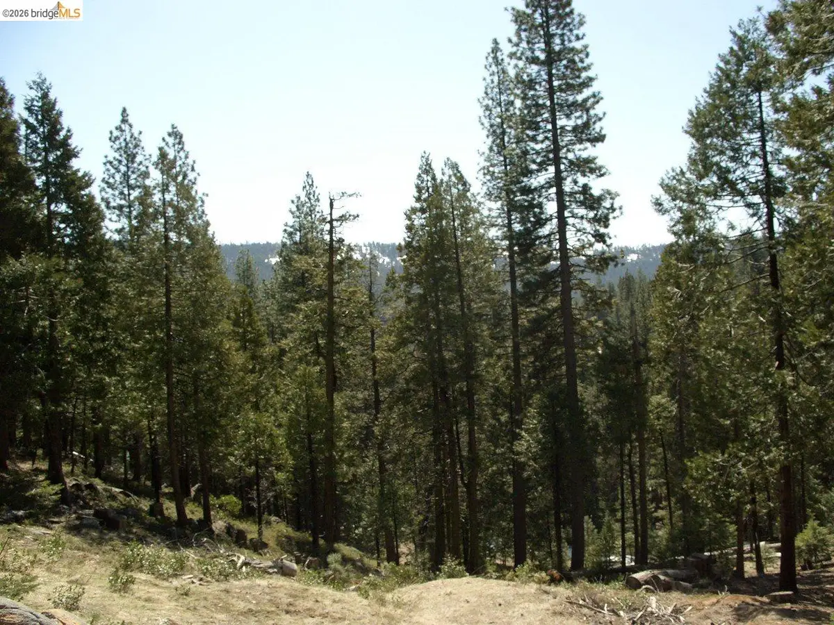 29733 Kerns Drive Lot 441, Cold Springs, CA 95335 - #1