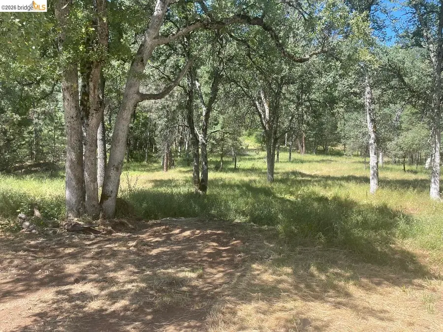 21040 Maranantha Road, Tuolumne, CA 95379 - #3