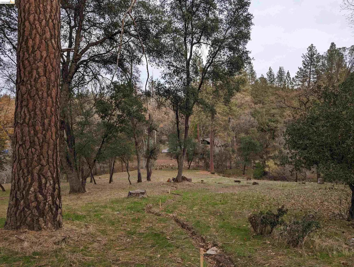 19059 Crocker Station, Groveland, CA 95321 - #1