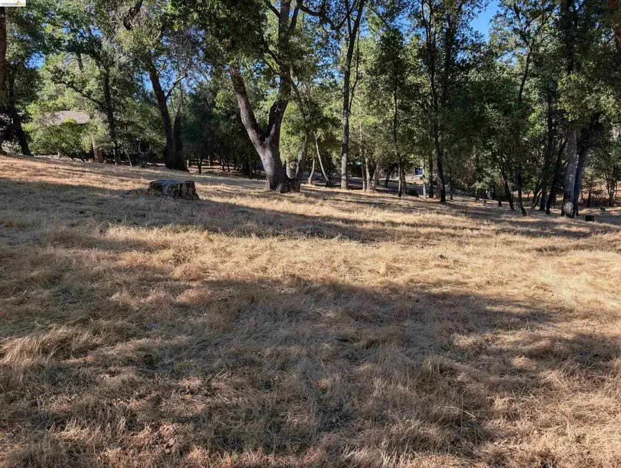 19059 Crocker Station, Groveland, CA 95321 - #3