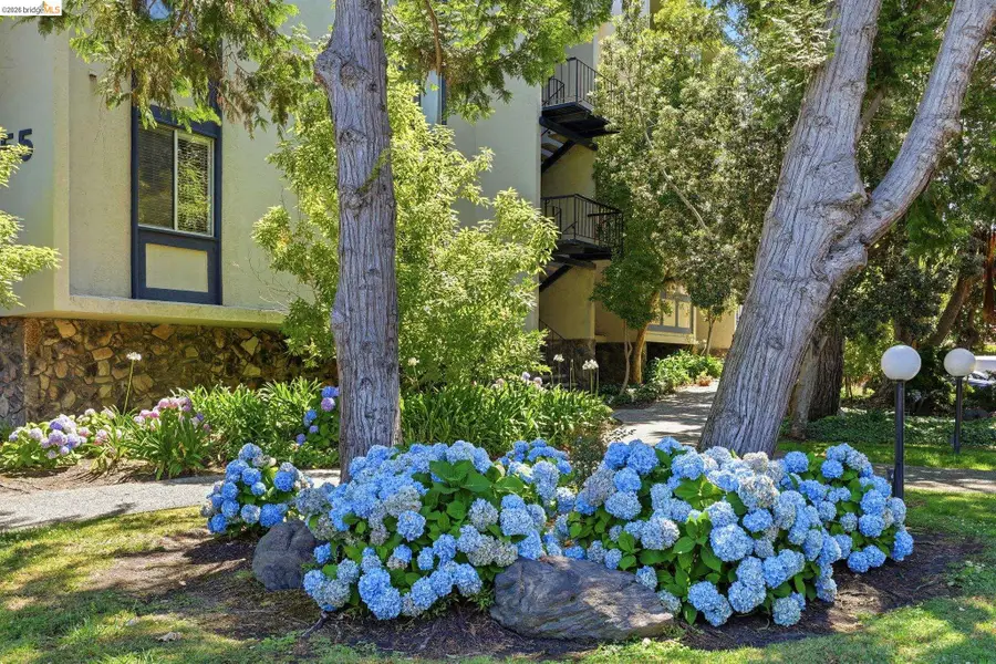 955 Shorepoint Ct  #208, Alameda, CA 94501 - #3