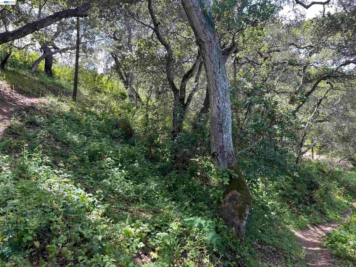 00 Marburger Ave., Belmont, CA 94002 - #1