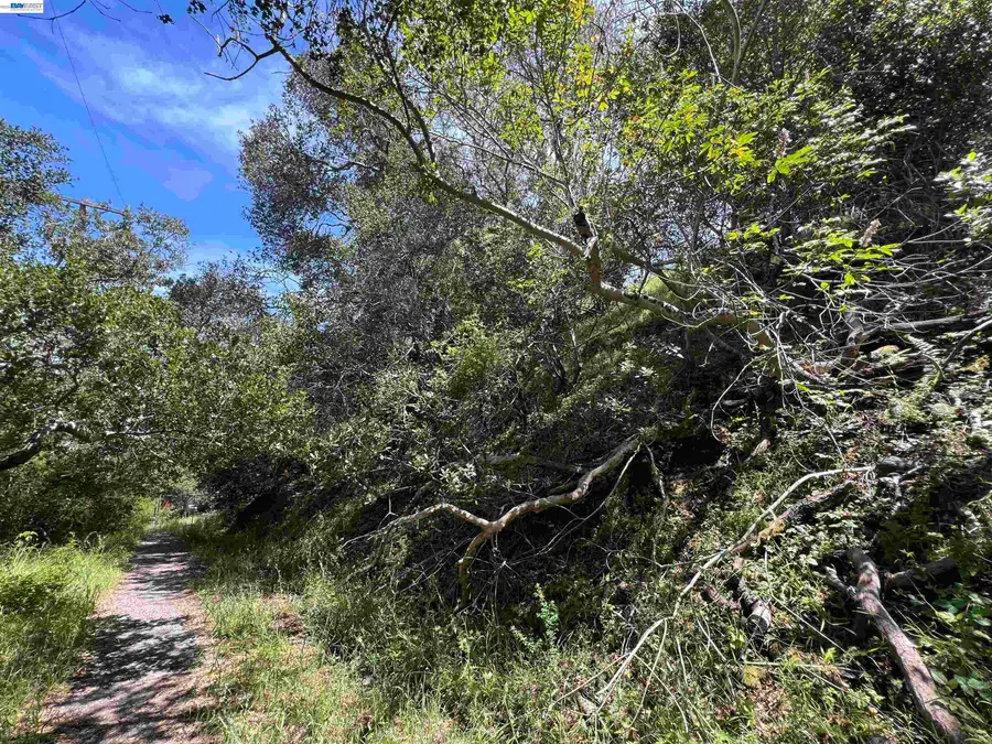 00 Marburger Ave., Belmont, CA 94002 - #3