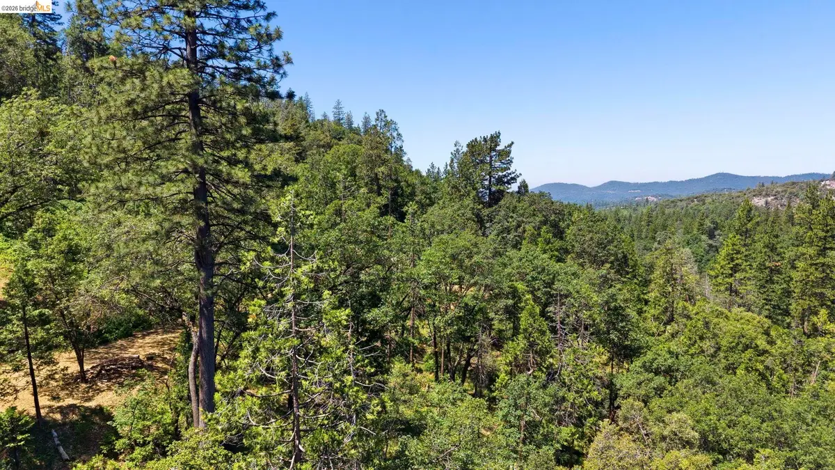 00000 Thunderbolt Drive, Sonora, CA 95370 - #1