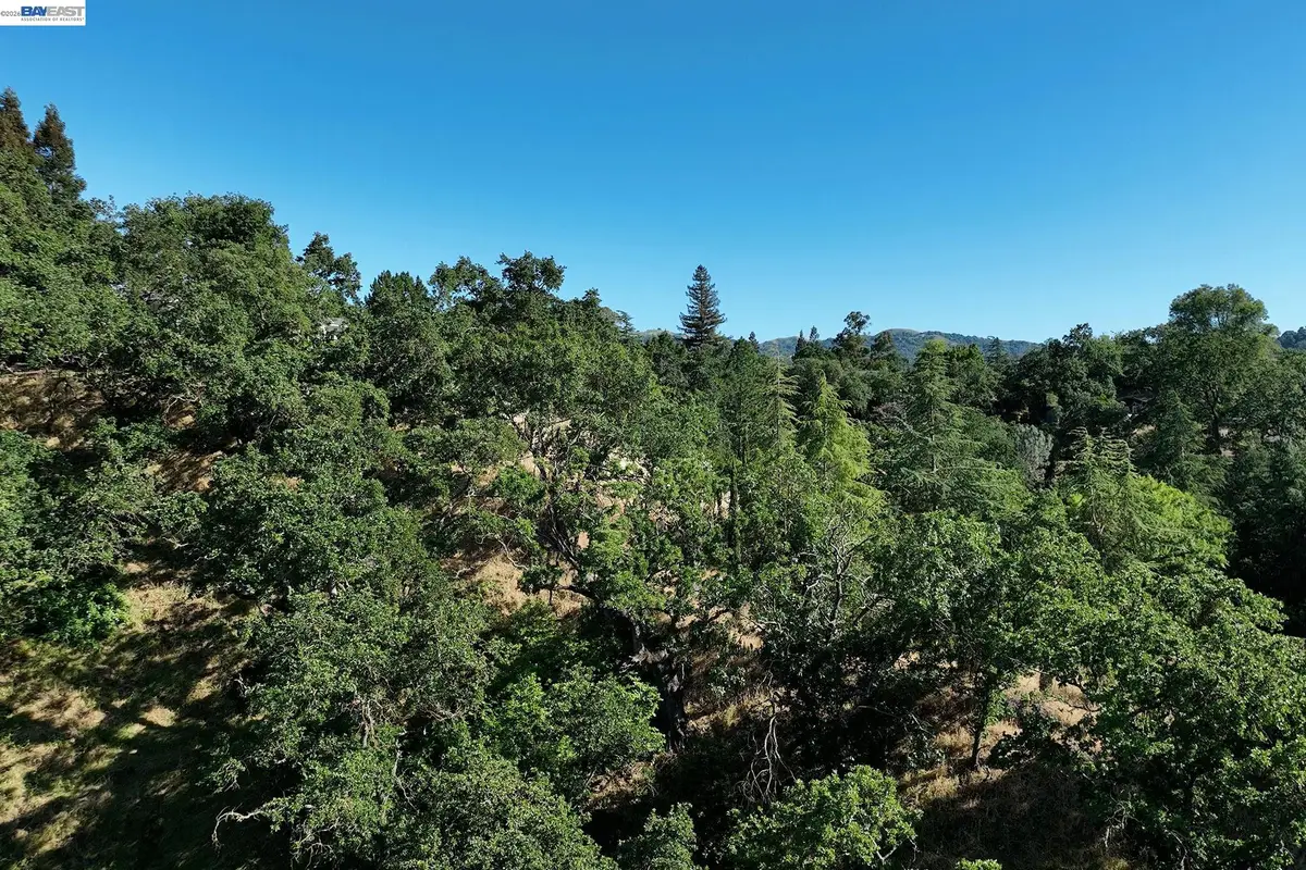 247 Sequoia Ave, Walnut Creek, CA 94595 - #1