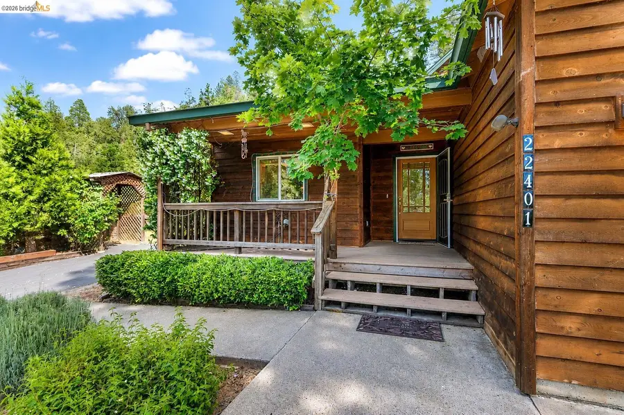 22401 Ridge Road, Twain Harte, CA 95383 - #2