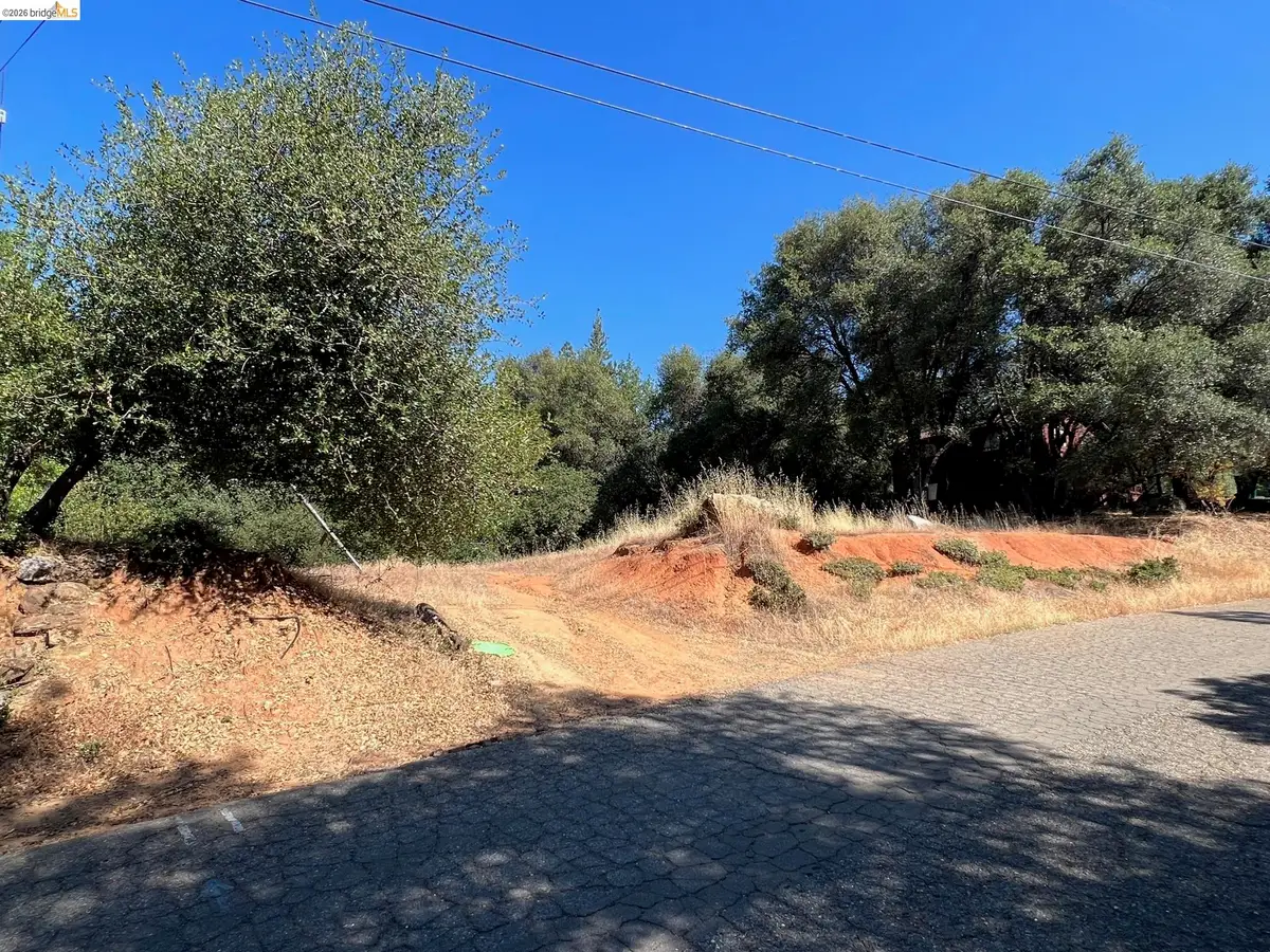 21788 El Puma Cir, Sonora, CA 95370 - #1