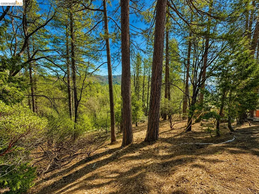 23804 Oxbow Lane, Sonora, CA 95370 - #2