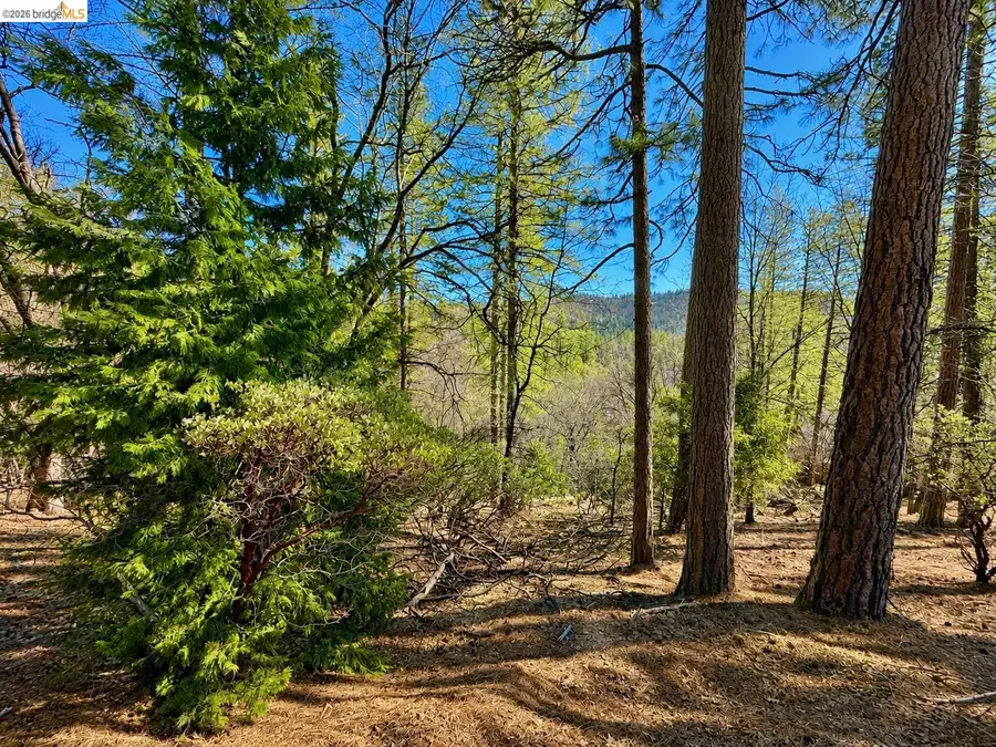 23804 Oxbow Lane, Sonora, CA 95370 - #3