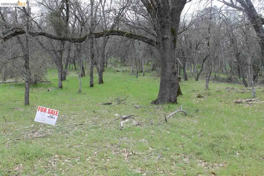 Lot52A Kebra Lane, Sonora, CA 95370 - #3