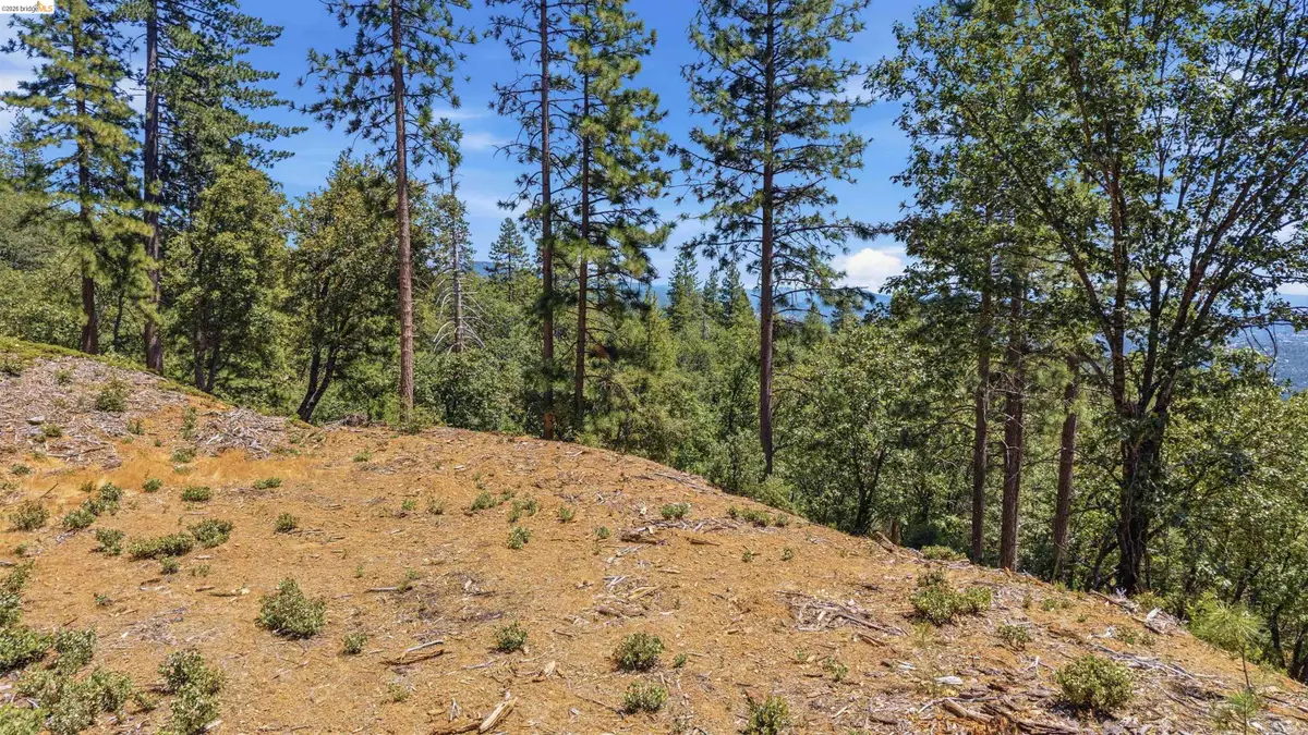 00 Old Oak Ranch Rd, Sonora, CA 95370 - #1