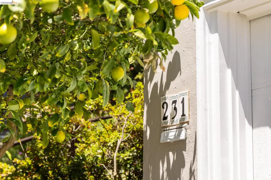 231 Yale Avenue, Kensington, CA 94708 - #2