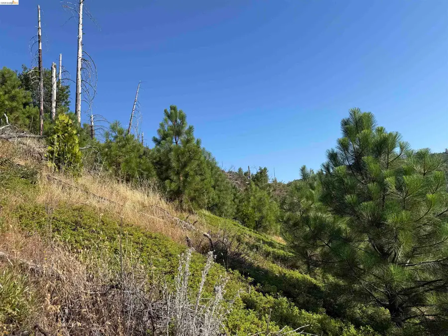 00000 Old Greek Mine, Mokelumne Hill, CA 95245 - #2