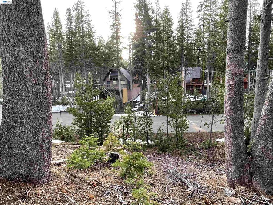 7217 Palisade Road, Colfax Monumental Ridge, CA 95728 - #3