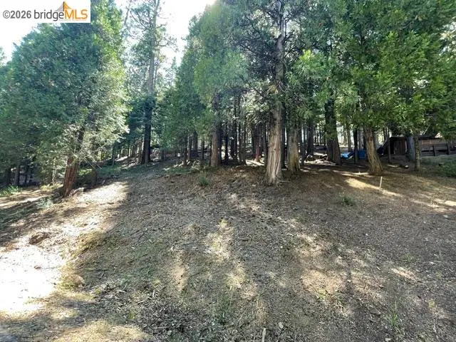 Parcel 34 Sno Bowl Rd, Mi Wuk Village, CA 95346 - #1