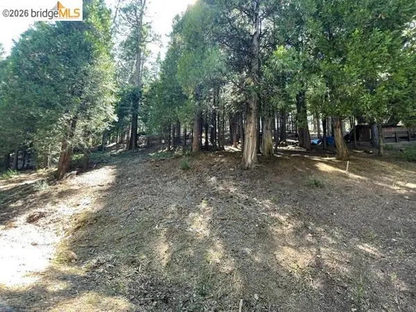Parcel 34 Sno Bowl Rd, LONG BARN, CA 95346