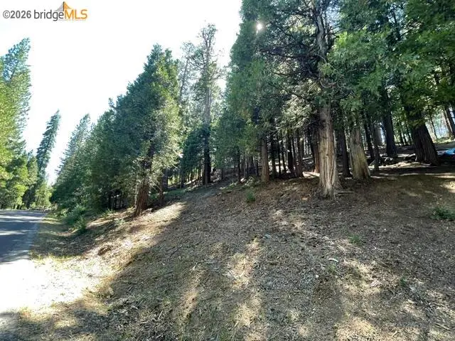 Parcel 34 Sno Bowl Rd, Mi Wuk Village, CA 95346 - #2