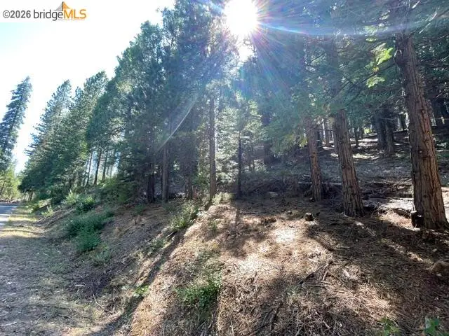 Parcel 34 Sno Bowl Rd, Mi Wuk Village, CA 95346 - #3