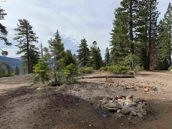 00000 Courtright, SHAVER LAKE, CA 93664