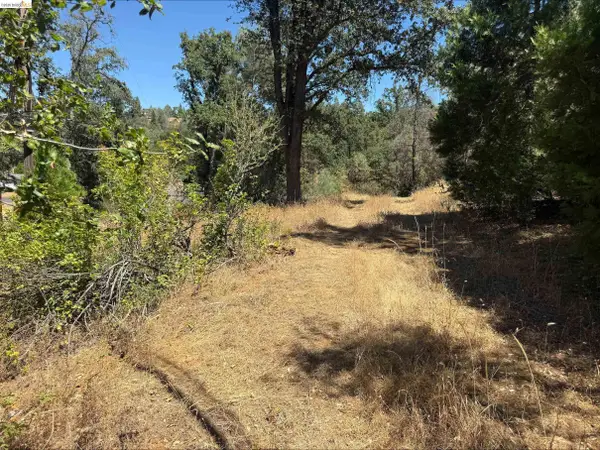 Address Withheld By Seller, SONORA, CA 95370