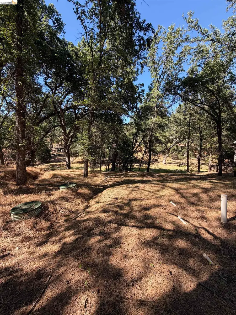20766 Big Foot Circle, Groveland, CA 95321 - #3