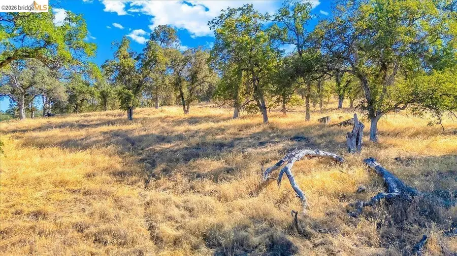 00 Henry D Court, Sonora, CA 95370 - #2
