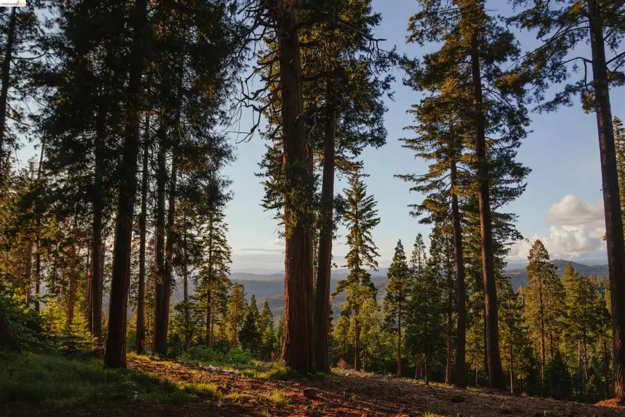 25120 State Highway 108, Mi Wuk Village, CA 95346 - #2