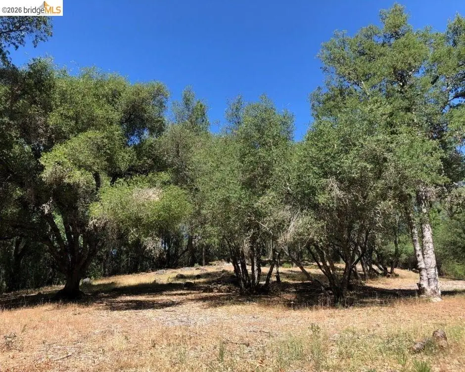 21930 Lyons Bald Mountain, Sonora, CA 95370 - #1