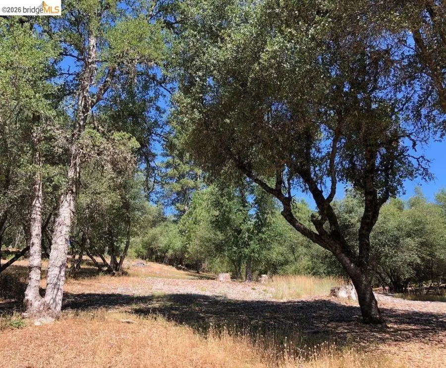 21930 Lyons Bald Mountain, Sonora, CA 95370 - #3