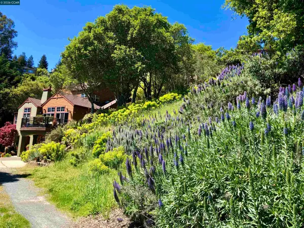 7033 Buckingham Blvd, BERKELEY, CA 94705