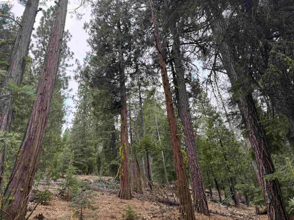 00000 Hillcrest, Alturas, CA 96101 - #1