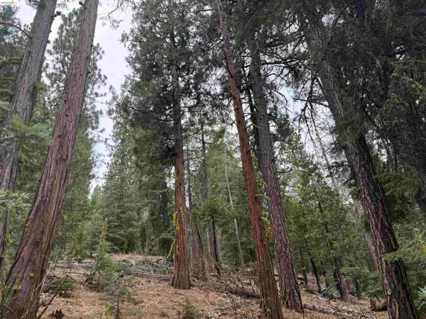 00000 Hillcrest, ALTURAS, CA 96101