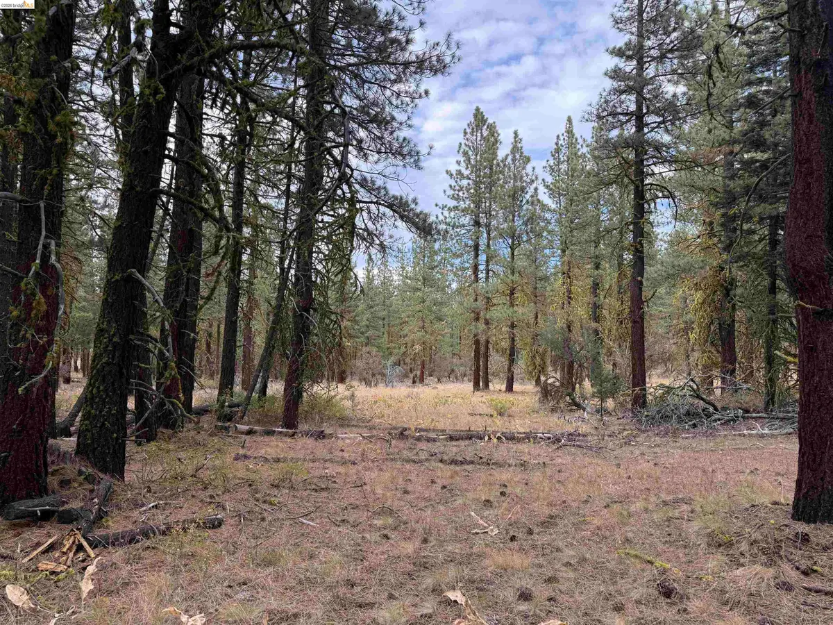 00000 West Wing, Susanville, CA 96127 - #1