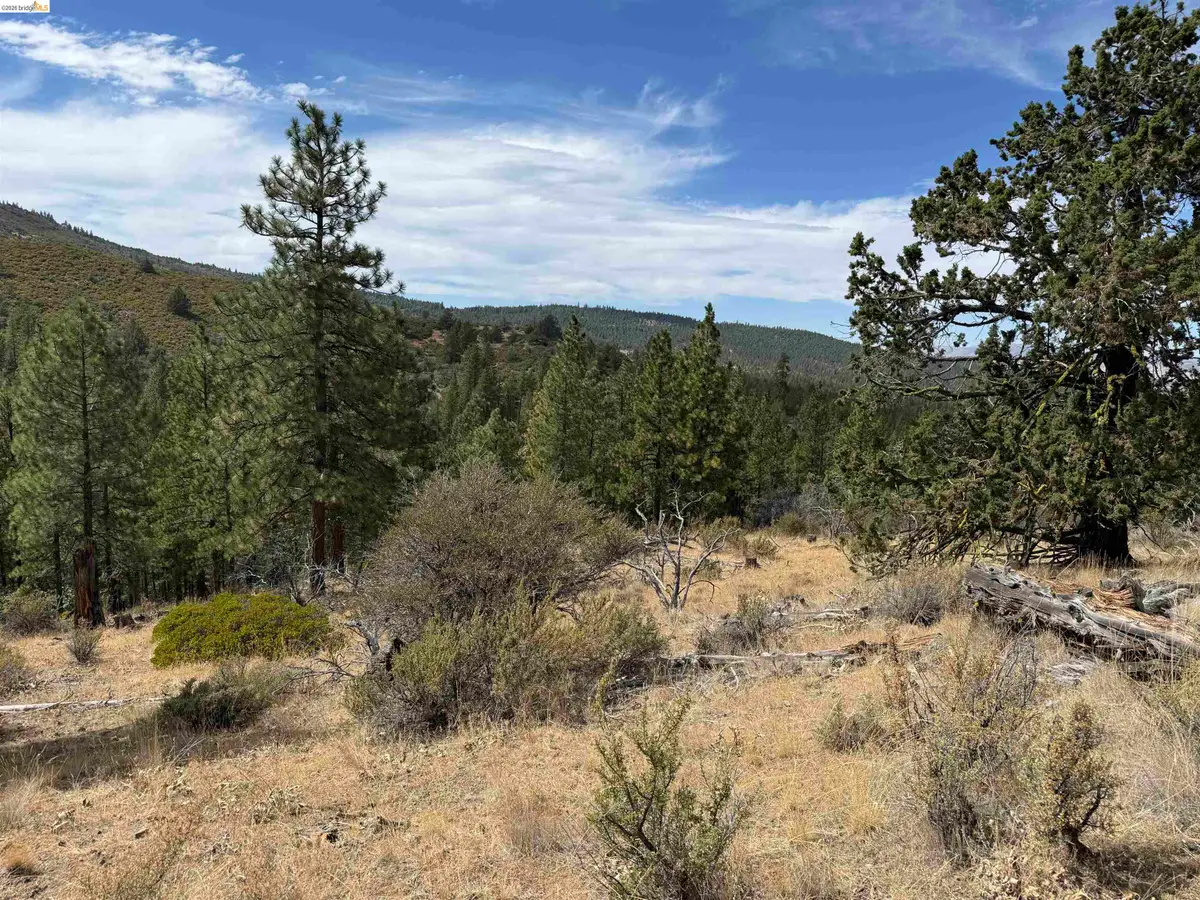 00000 North Twin, Bieber, CA 96009 - #1