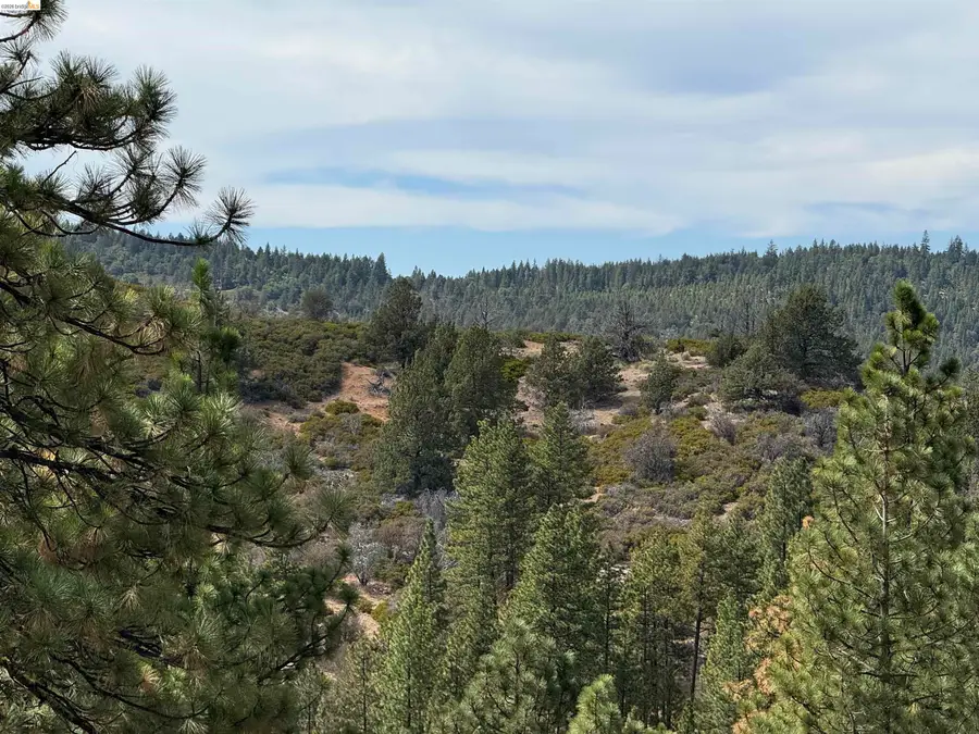 00000 North Twin, Bieber, CA 96009 - #3
