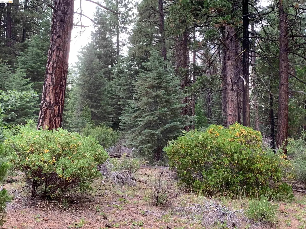 00000 Old Toll Rd, Nubieber, CA 96068 - #1