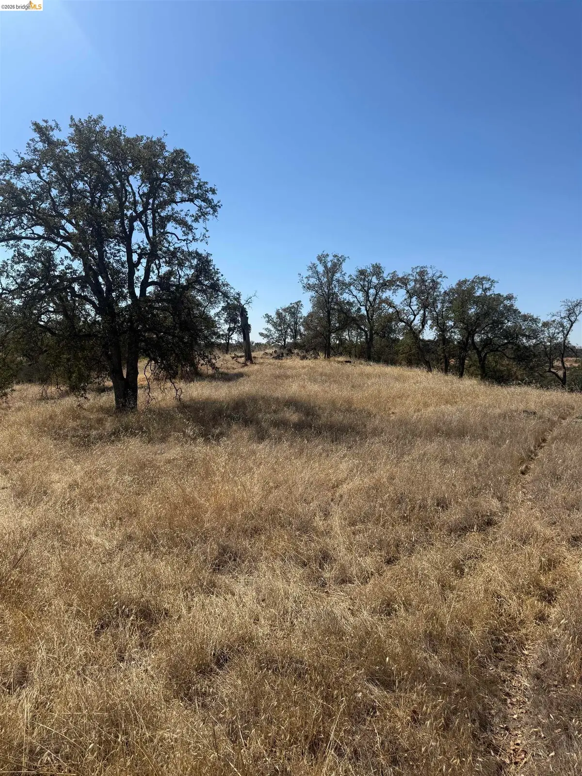 2088 Navarro, La Grange, CA 95329 - #1