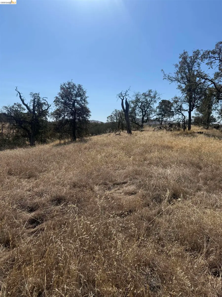 2088 Navarro, La Grange, CA 95329 - #3
