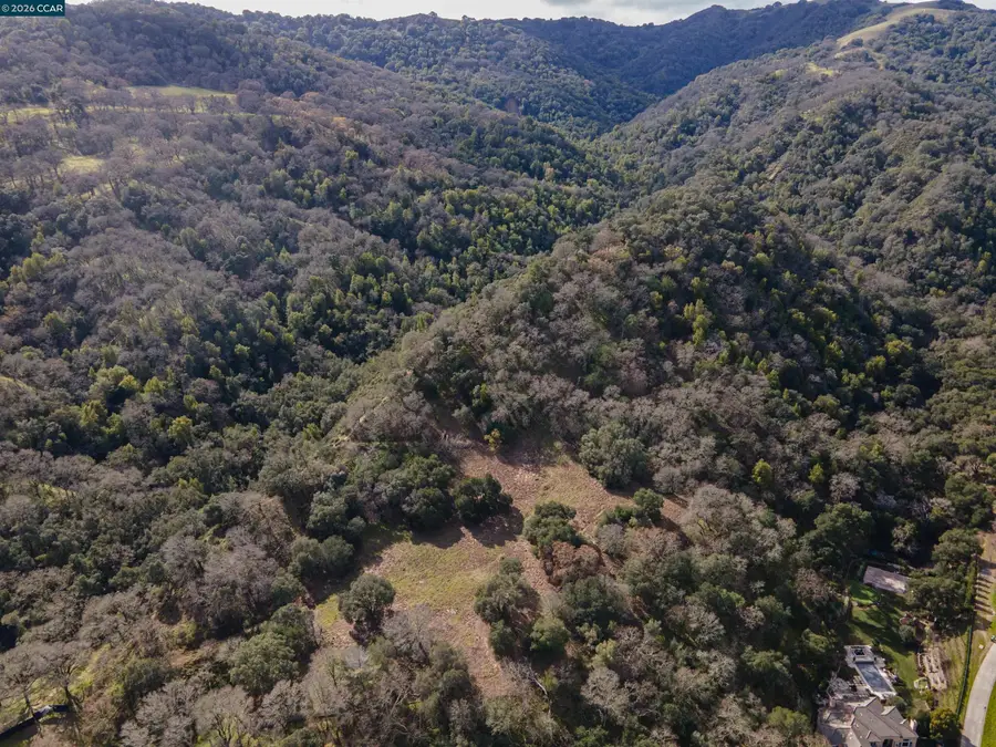 285 Lark Ln, Alamo, CA 94507 - #3