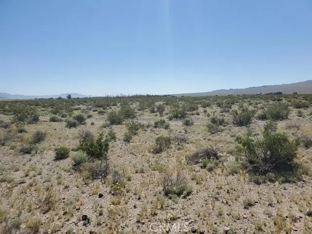 0 Autumn Leaf Road, Newberry Springs, CA 92365 - #2