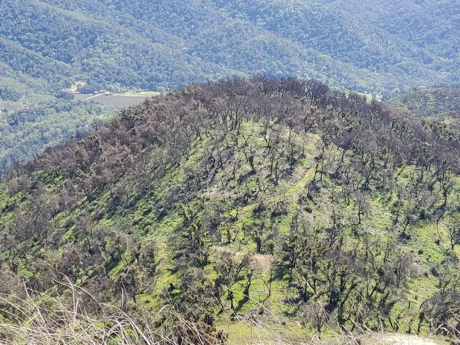 0 Cachagua, Carmel Valley, CA 93924 - #3