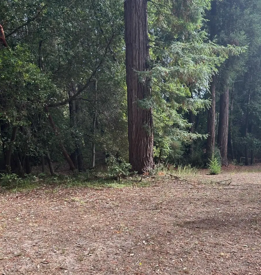 104 Mcpherson Court, Boulder Creek, CA 95006 - Image #3