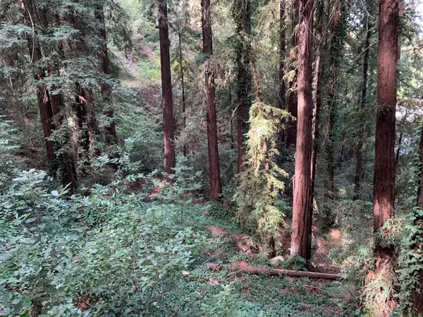 21745 Lindbergh Drive, LOS GATOS, CA 95033