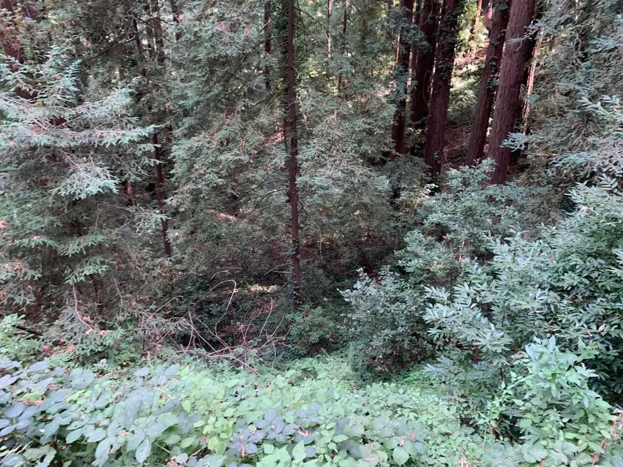 21745 Lindbergh Drive, Los Gatos, CA 95033 - Image #2